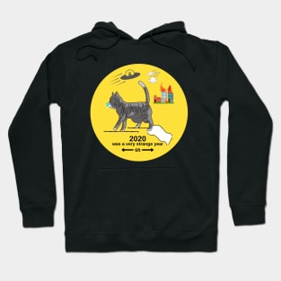 2020 Was a Very Strange Year Hoodie